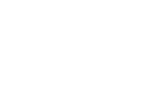Trampoline Guru Logo